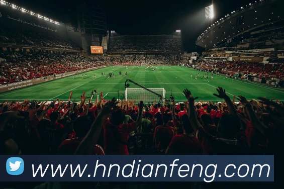 巅峰国际平台生态图